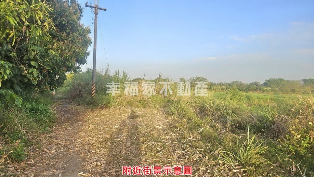 新化近8分超值農地-持分A