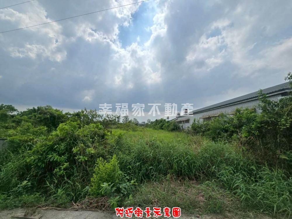 新營茄苳脚★北核心都內農地