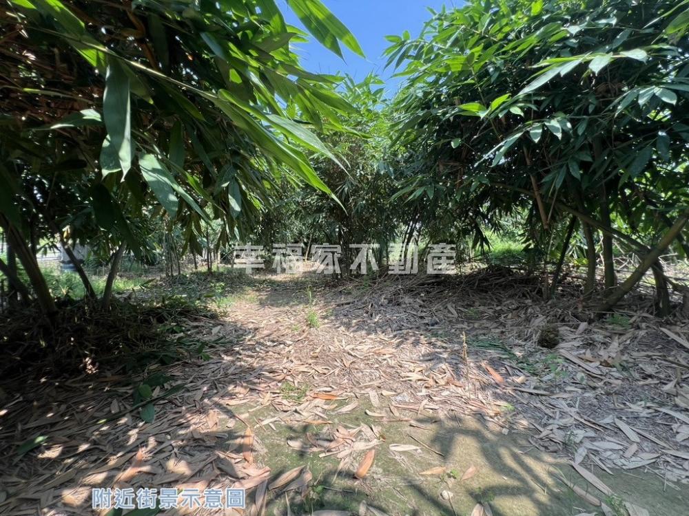 近白河水庫大路邊大面寬農地