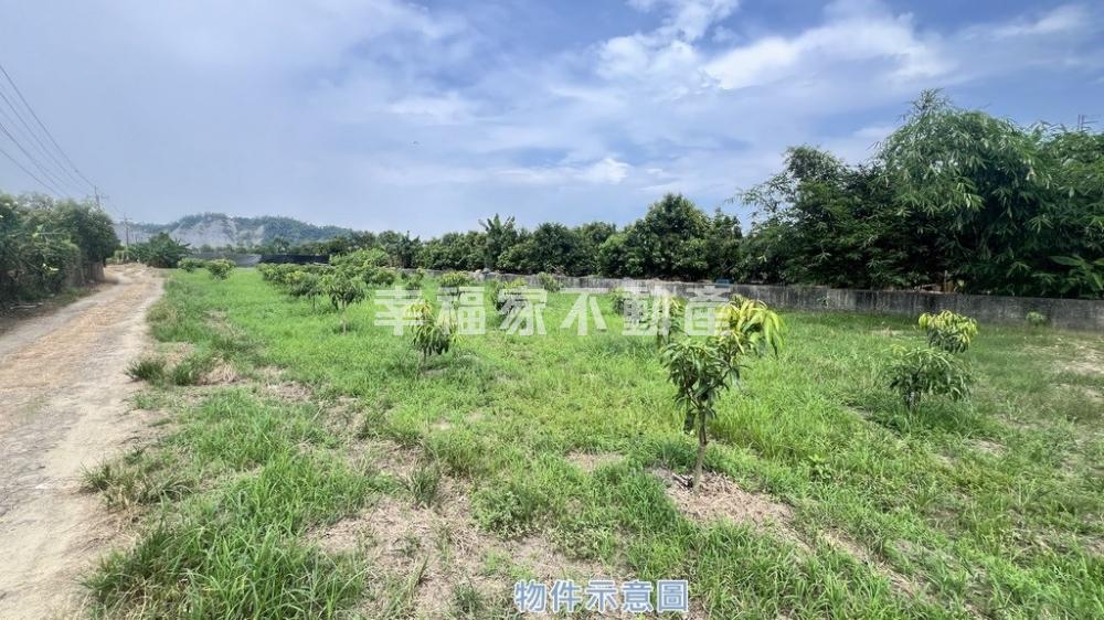 玉井20米路旁開心農場