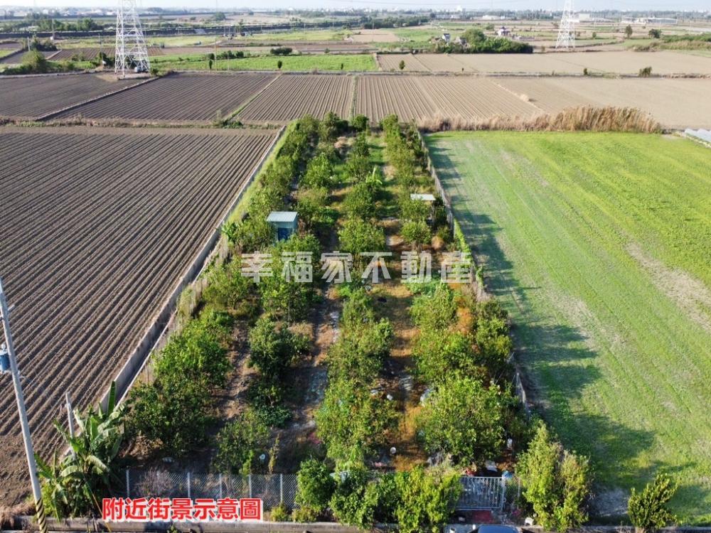 塩水808坪農電大面寬柚園