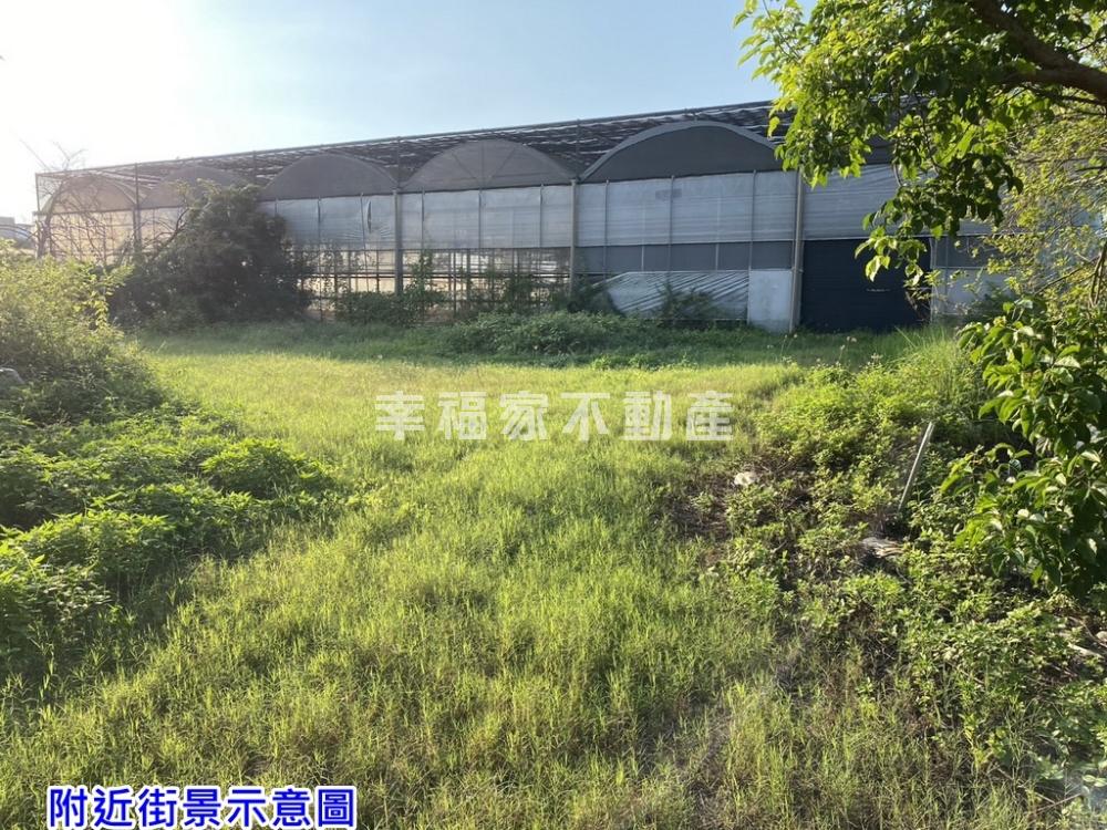 西港稀有千坪鋼構網室美農地