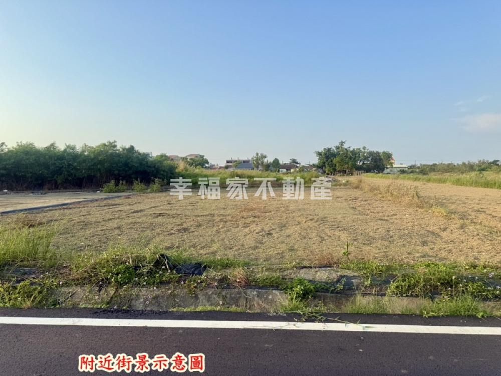 近七股工業區庄內194美田