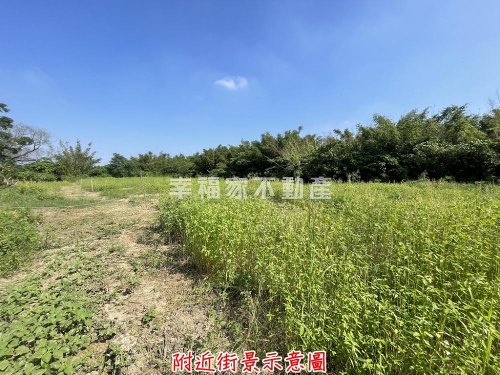 歸仁高發段779農地