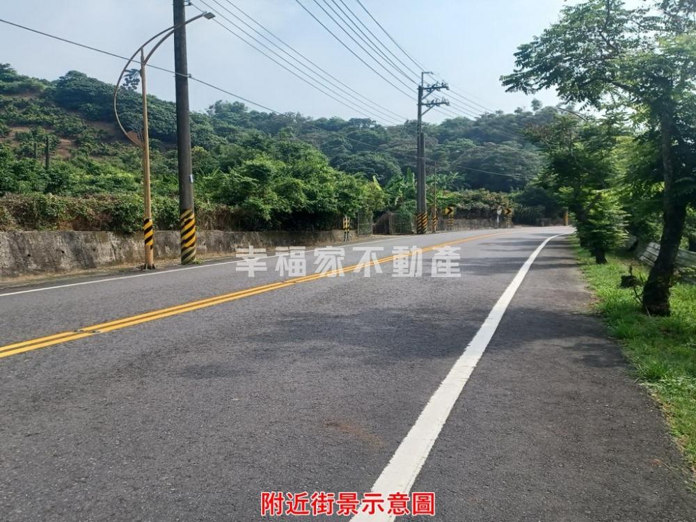 義大世界186甲市道旁農地