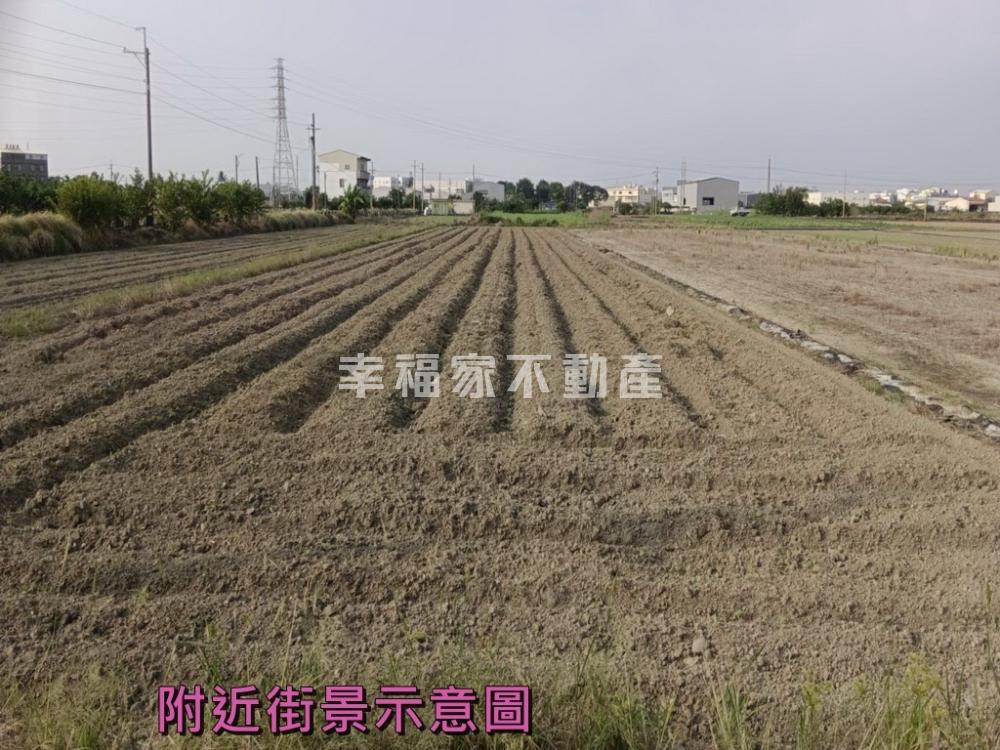 新市港子墘優良農地