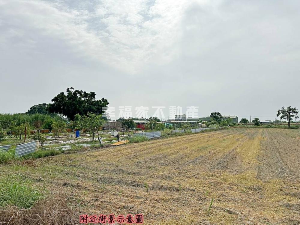 麻豆港埔段1.3分農保地