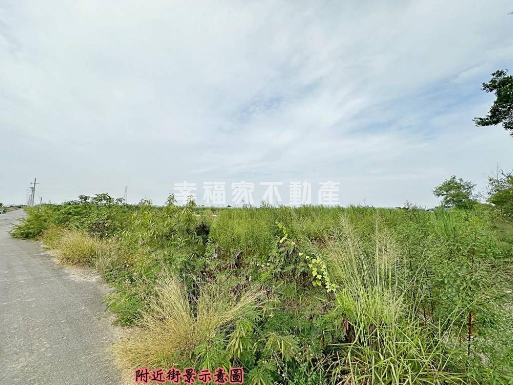 佳里2.58分方正美農地