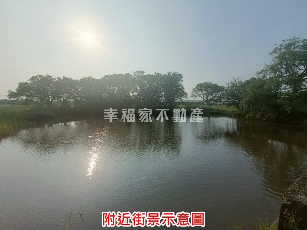 官田大馬路大面寬一般農