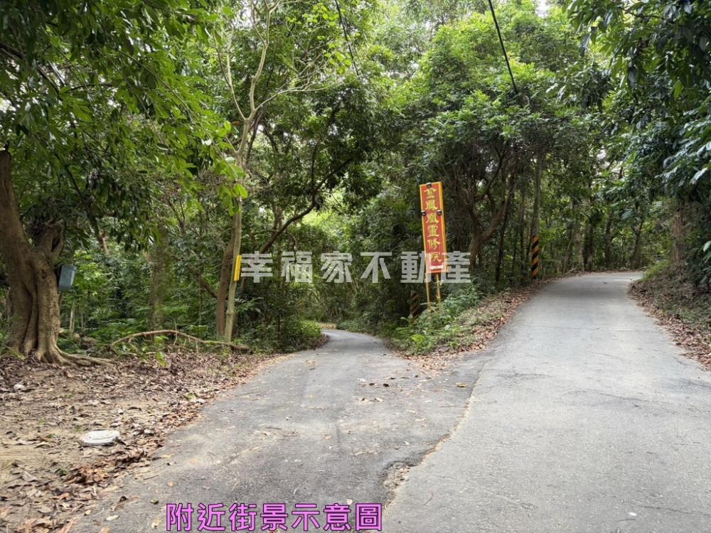 新化中興段休閒丙種建地