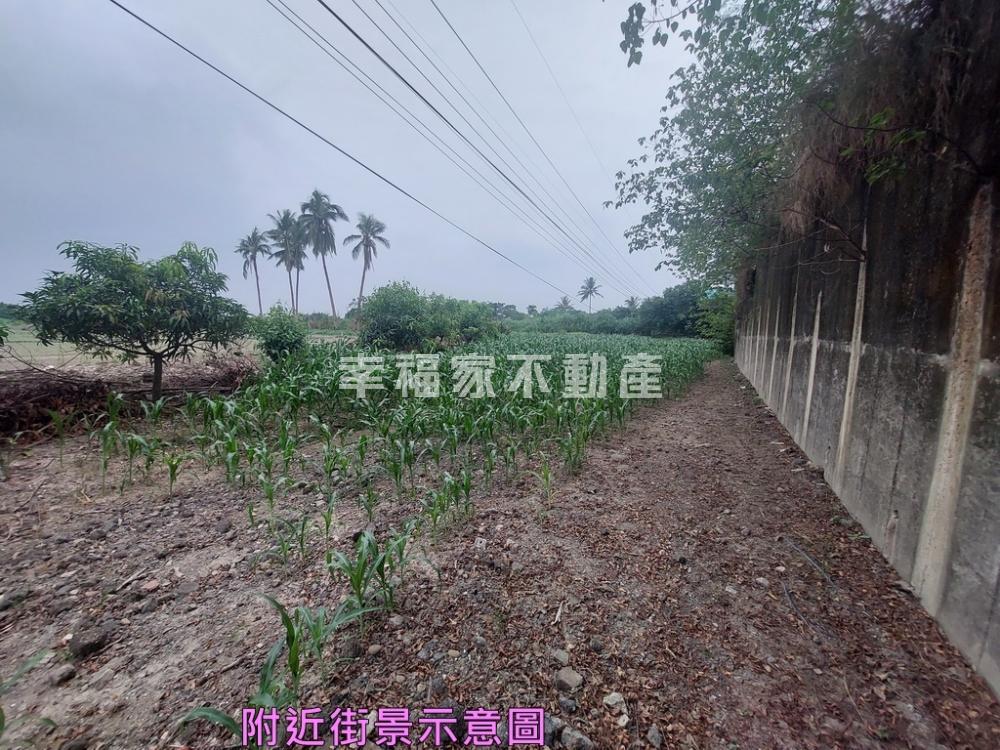 新市港子墘低總價農地