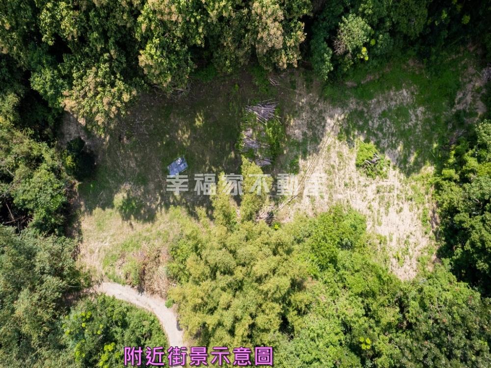 新化中興段休閒丙種建地