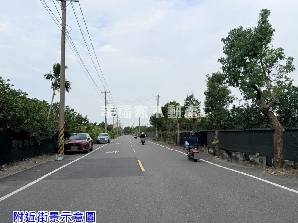 麻豆3.5分豐收文旦園