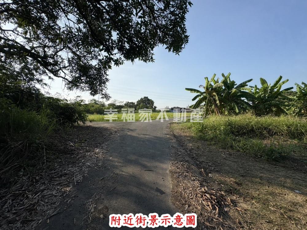 專關廟龜洞稀有釋出甲建持分