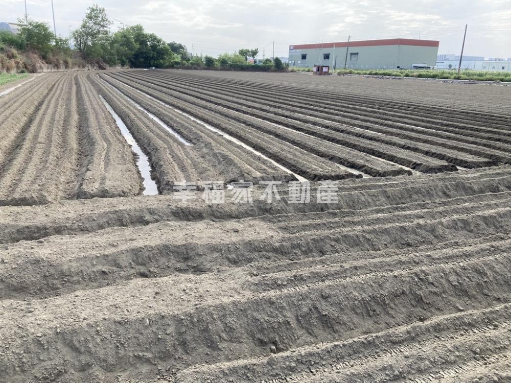 安定國八旁雙面臨路美農地