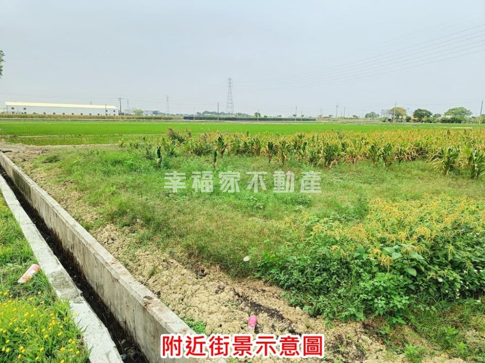 鄰新營市區方正美農地