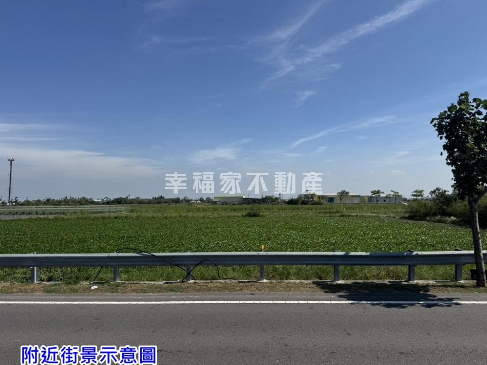 近村莊正濱海公路美農地