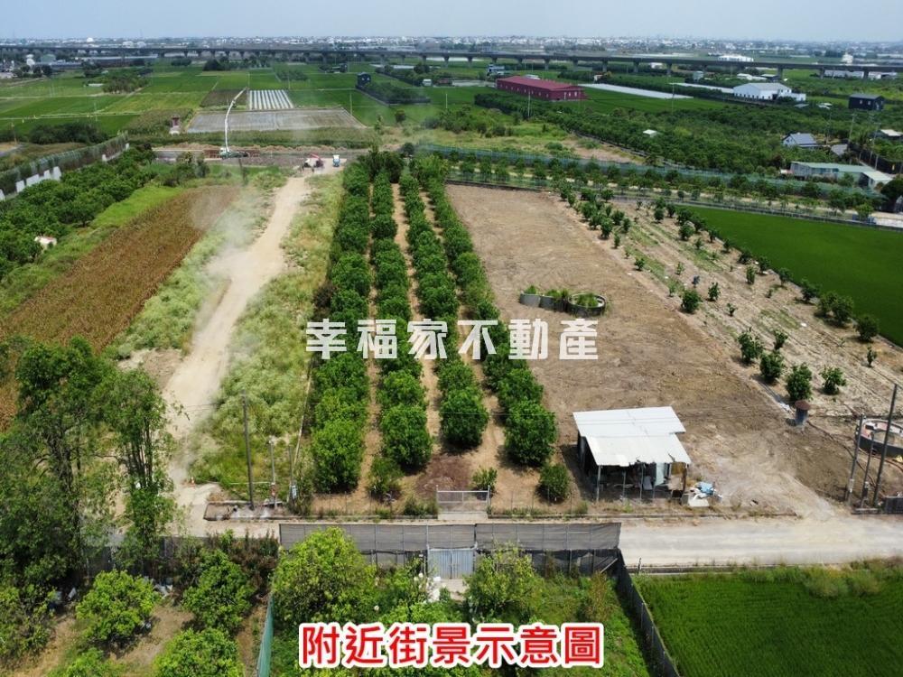 麻豆北勢寮約3.2分文旦園