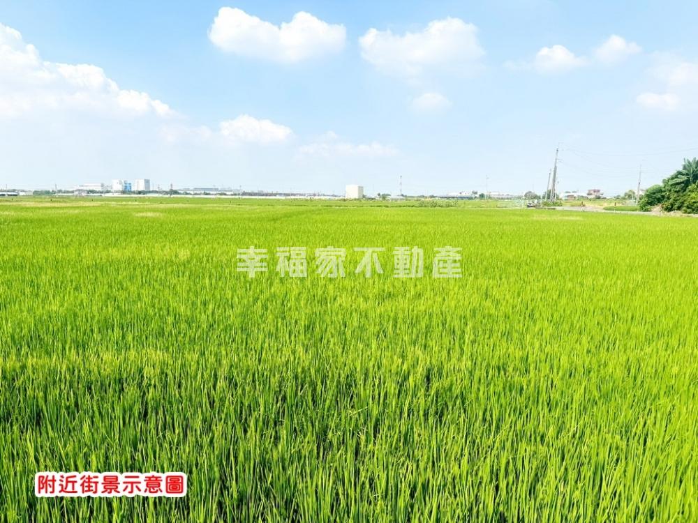 果毅後庄內的農地(三)