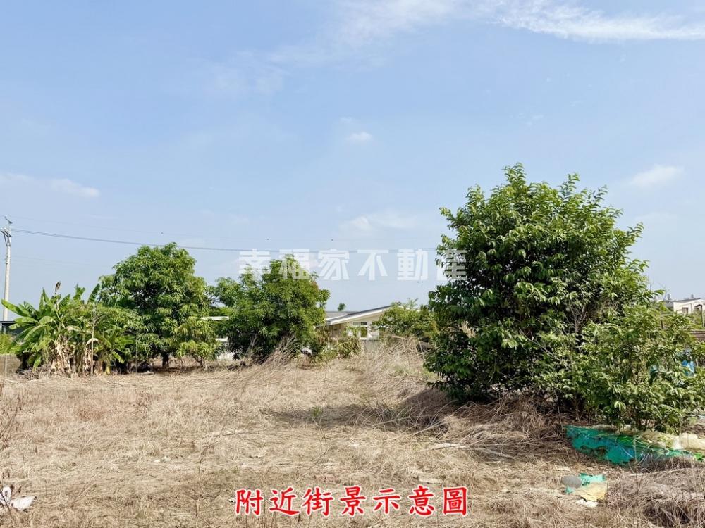 鄰新營體育場534坪都內農