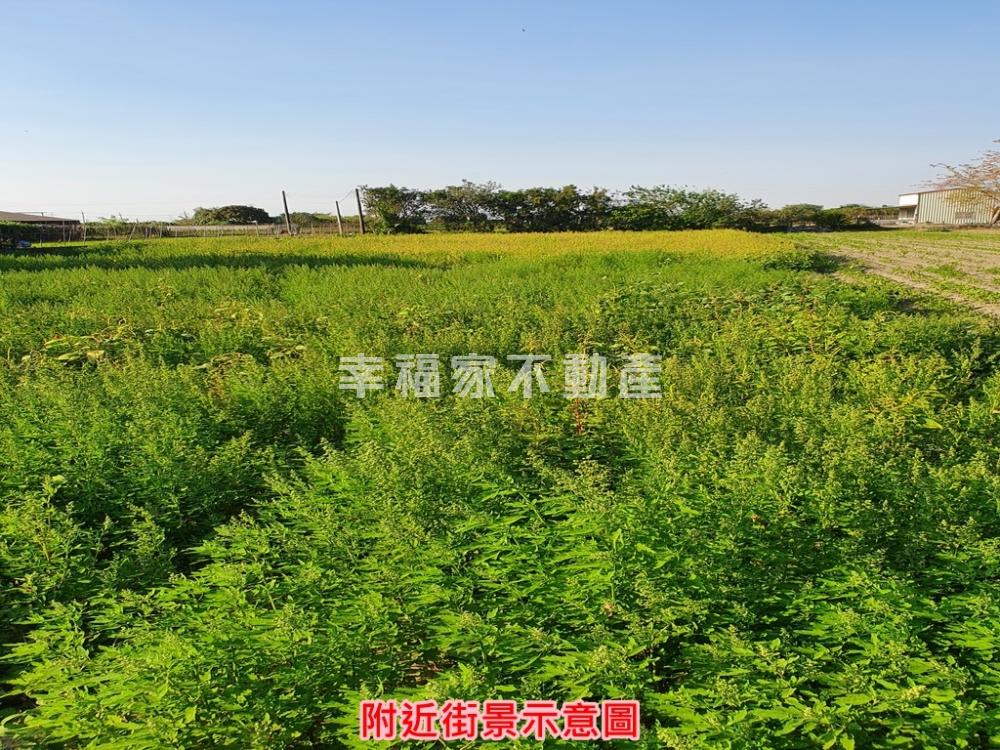 善化714農地