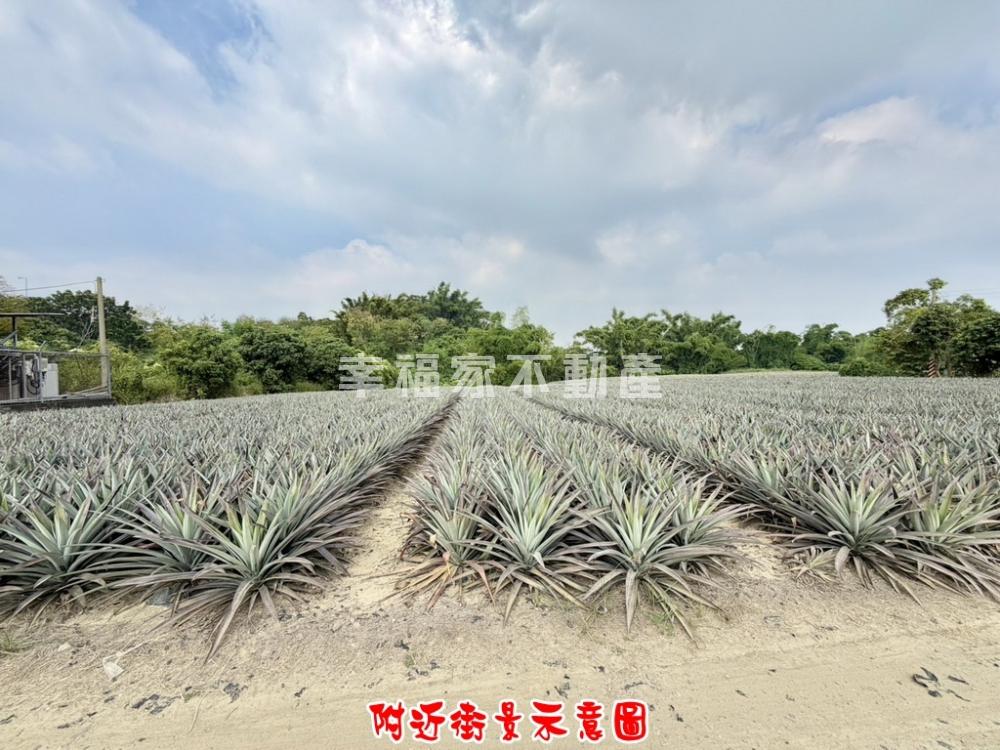 關廟近國三交流道美鳳梨田