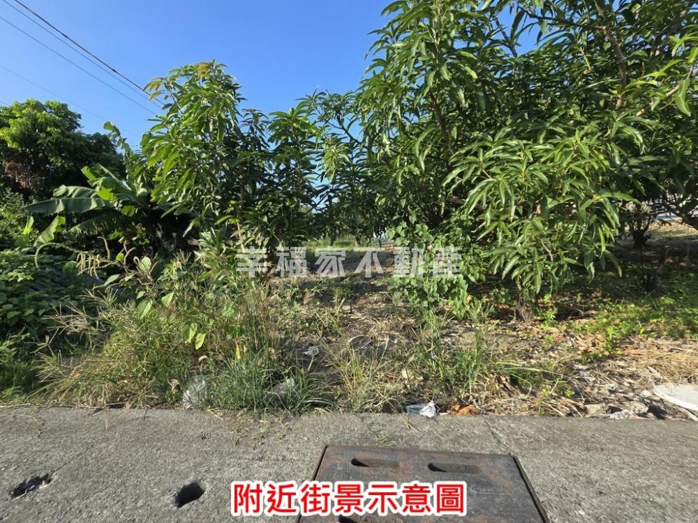 學甲草坔靜謐建地(一)