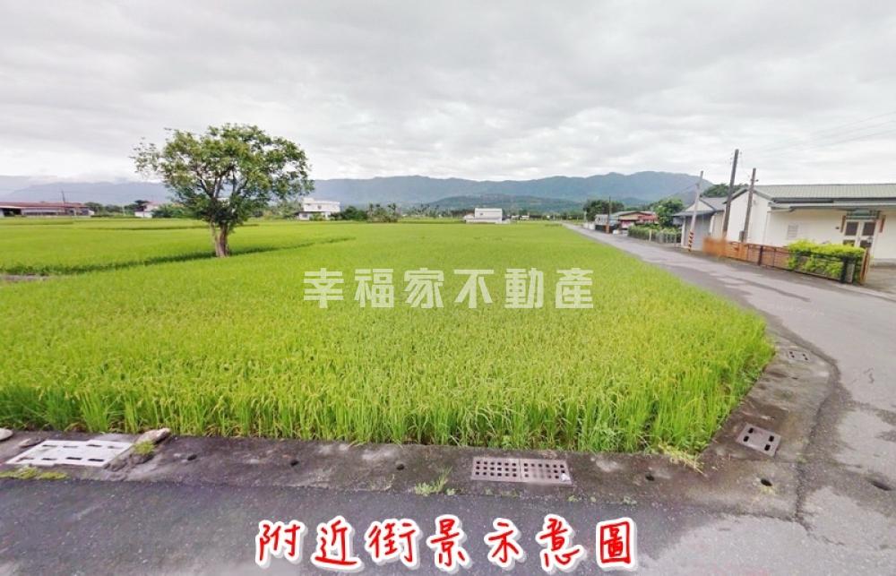 台東關山綠逸農地