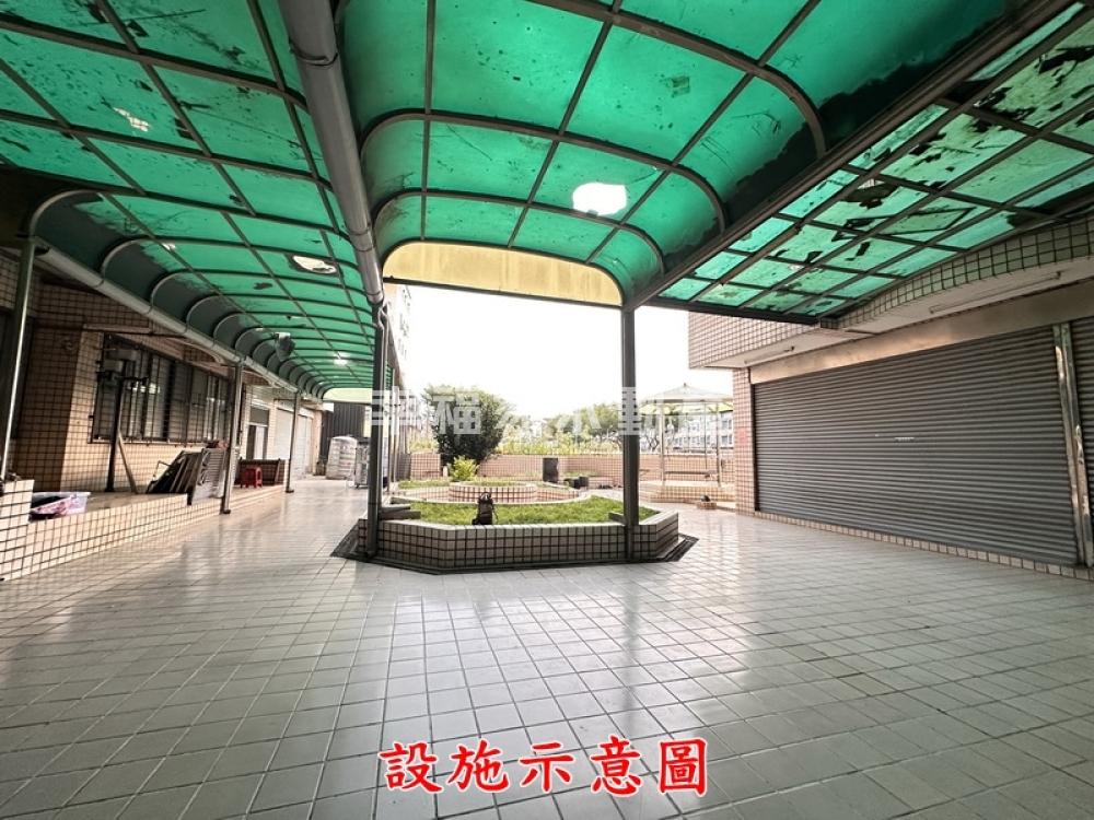 照片 11/19