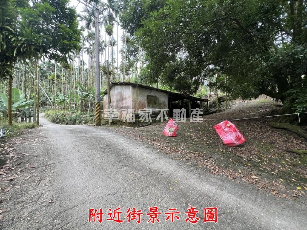 白河關子嶺大凍山旁農地