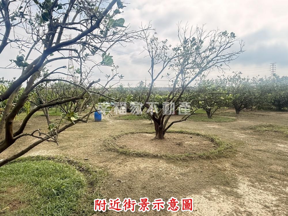 行情價雙面臨路農地