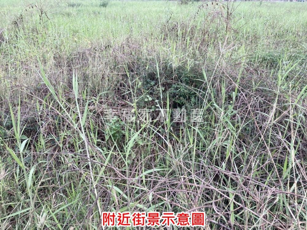 FG生活服務區建地