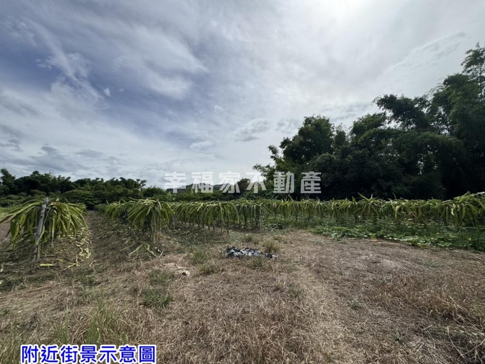 大內有自來水平坦果園