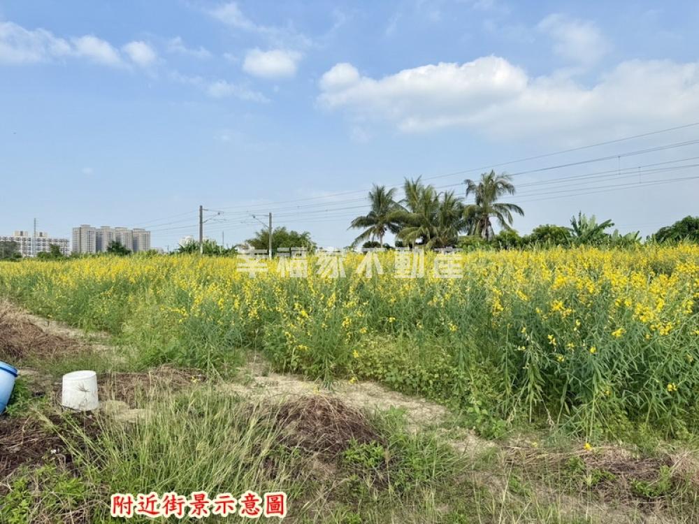 近LM區旁都內農地