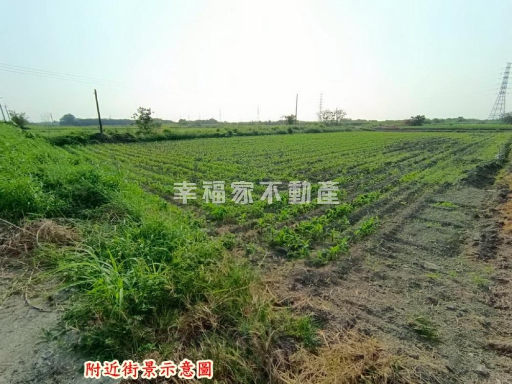 柳營南69縣道旁角窗地
