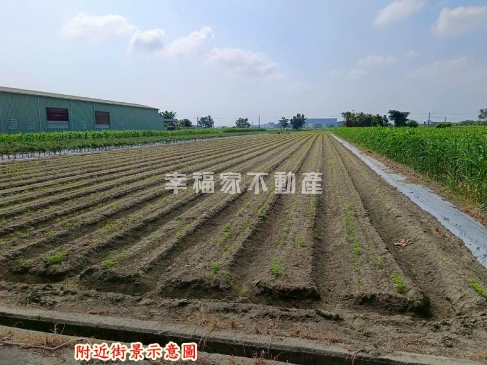 近新吉工業區美美農地