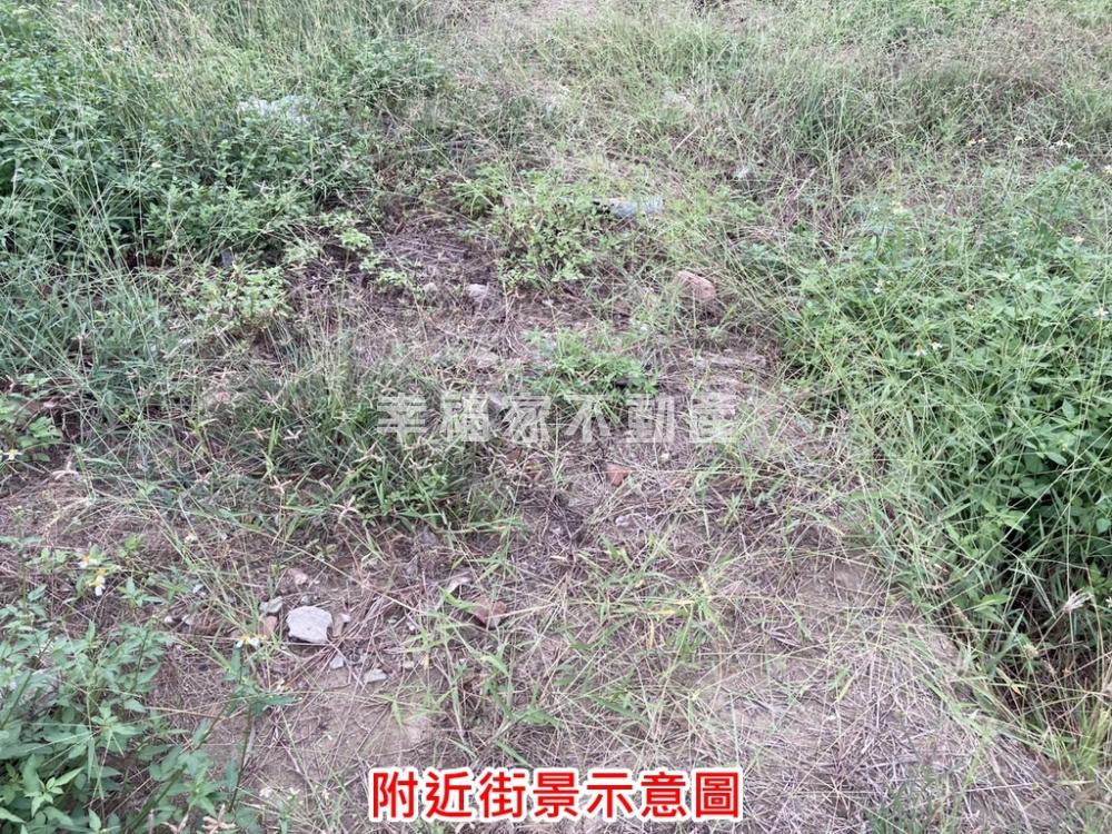 善化大同國小大坪數美建地