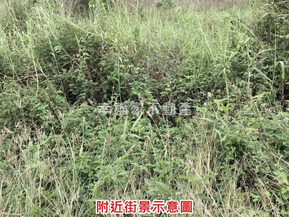 FG大坪數建地
