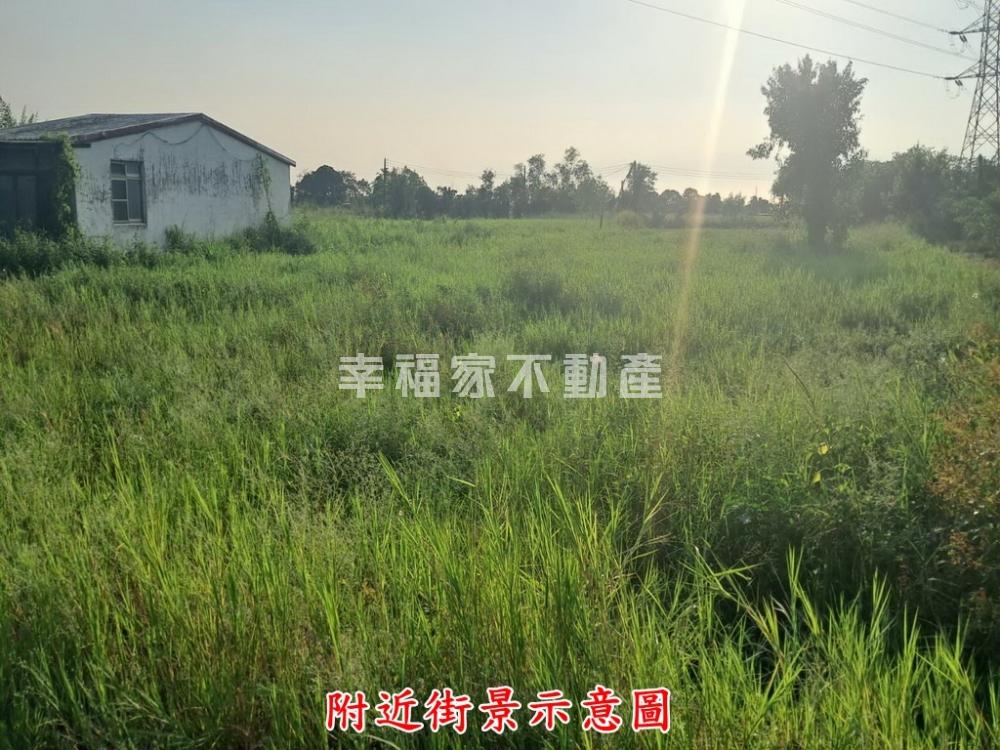 歸仁近高鐵特區方正農地
