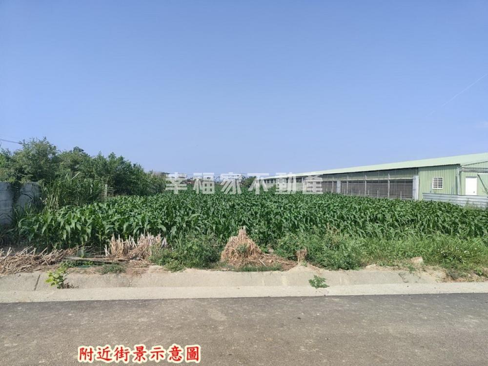 將軍雞不可失方正農地