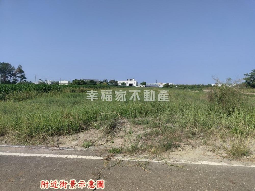 七股學區旁農地