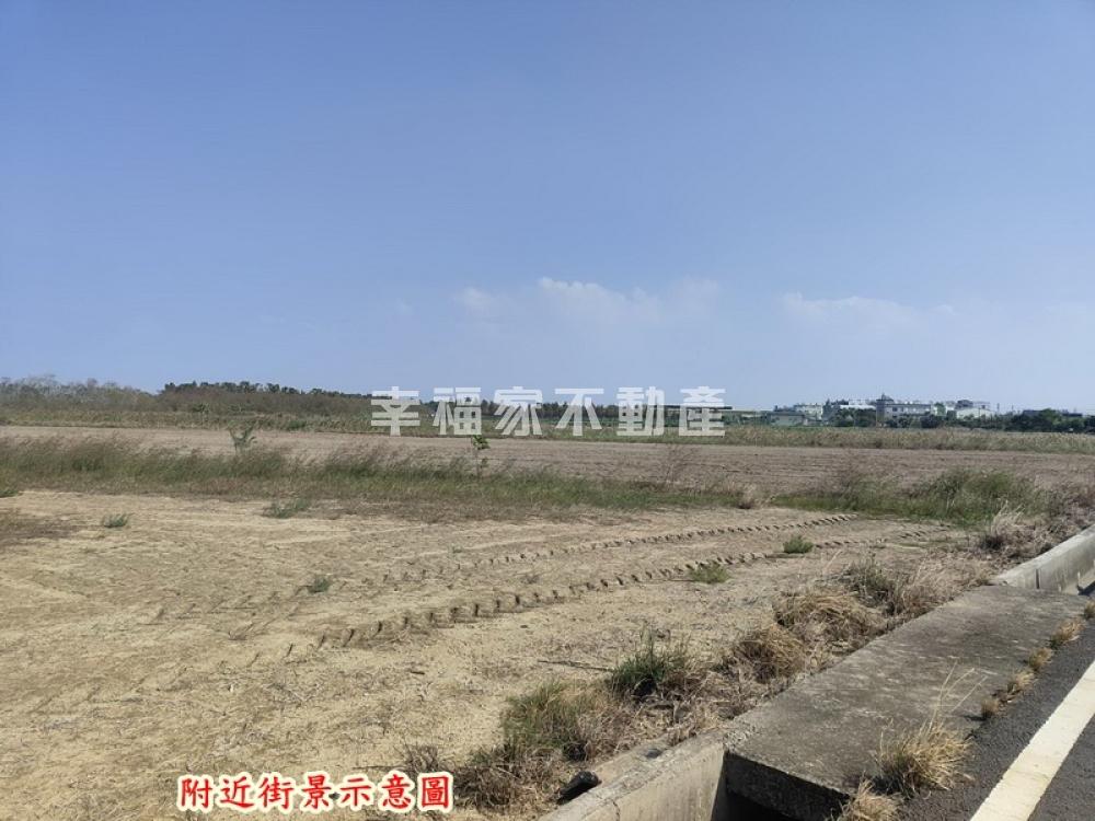 七股玉成覓靜美農地