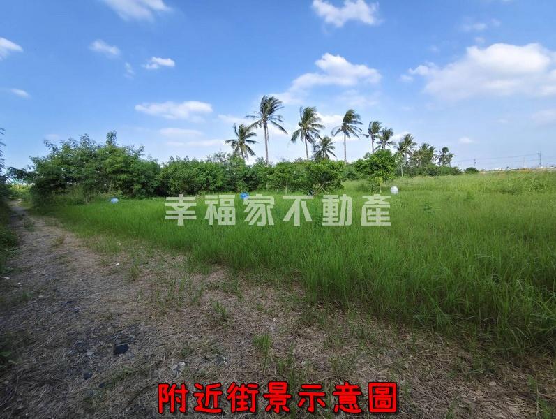 樹谷大道南科特定區都農12