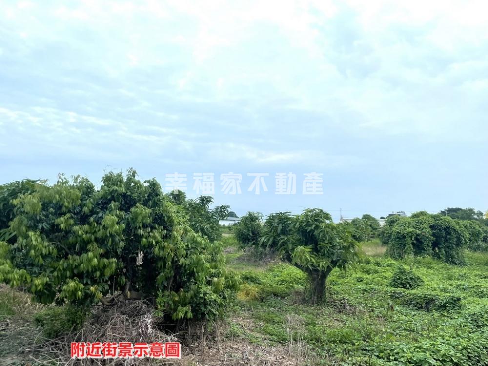 鹽水土庫7分4好風光農地