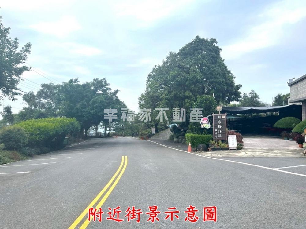 楠西梅嶺觀雲山坡林業碳權地