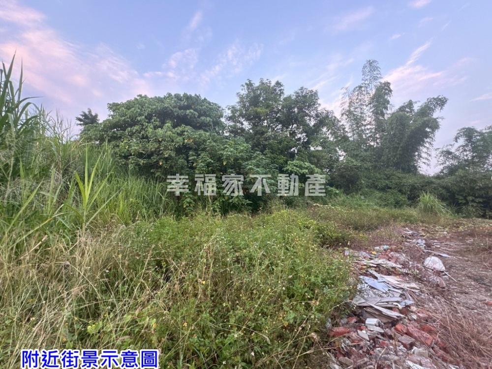 近左鎮化石園區公路旁丙建
