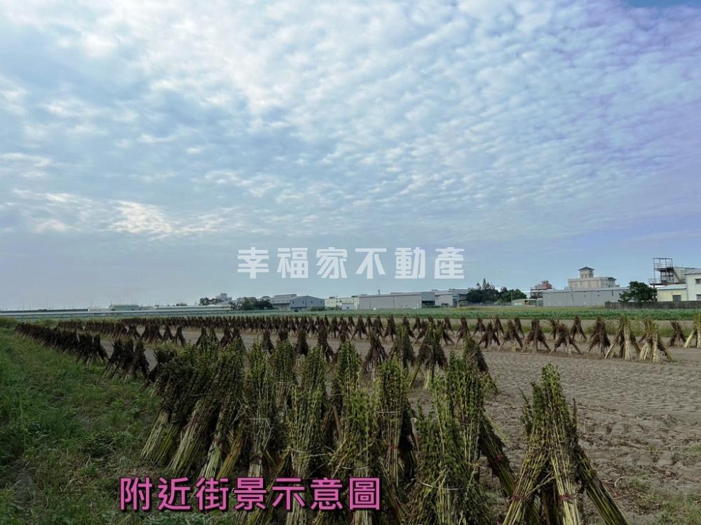 安定海寮484坪方正農地