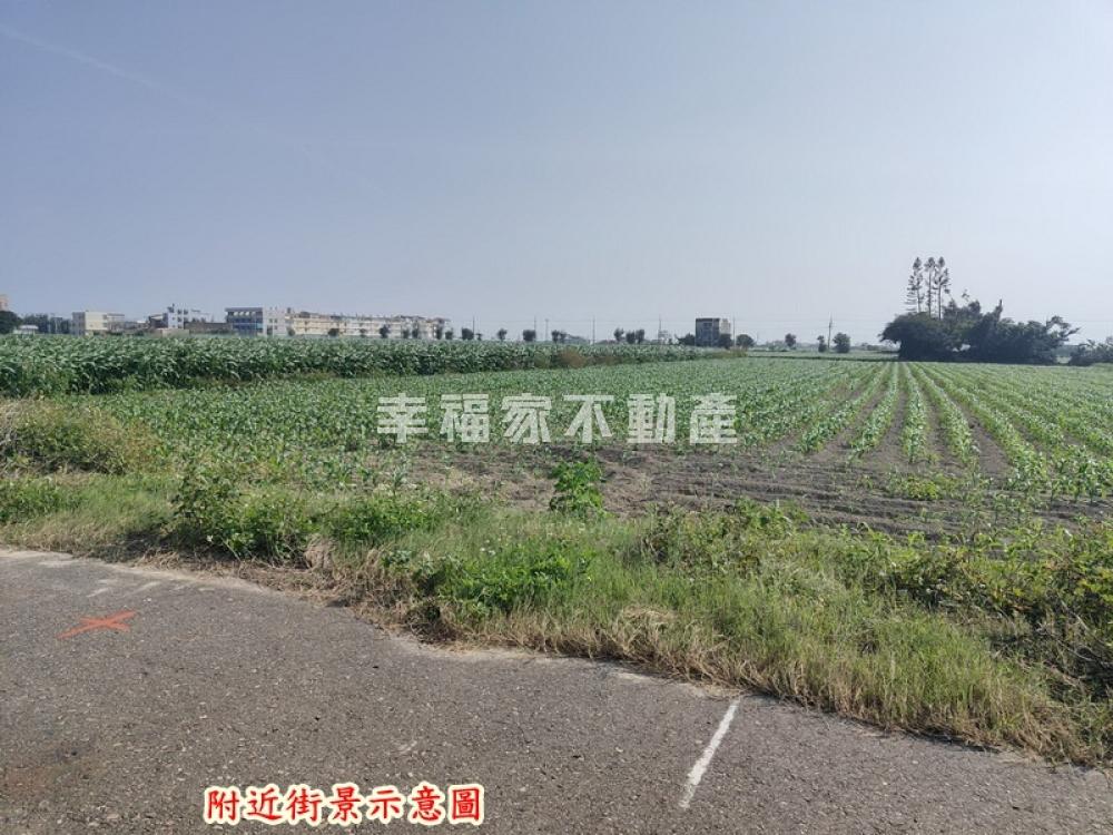 將軍近村庄西濱旁農地