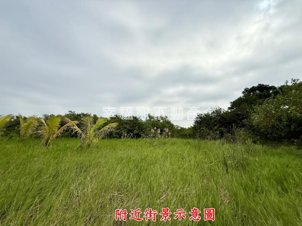 近海東國小淵中段都內農地