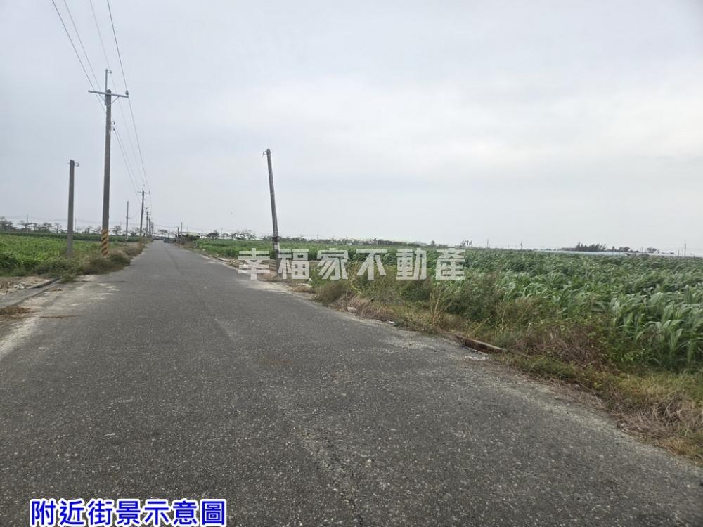 漚汪北甲1分6美田